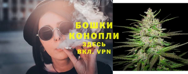 2c-b Заводоуковск