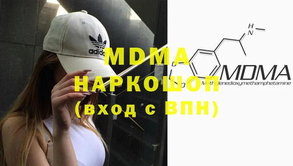 индика Инсар