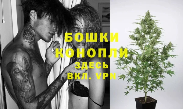метадон Зеленодольск