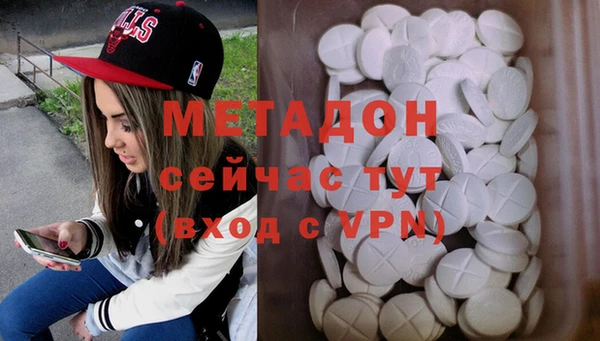 индика Инсар