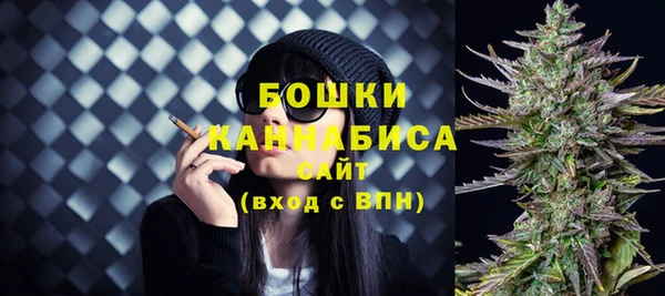 2c-b Заводоуковск