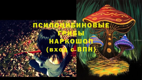 PSILOCYBIN Инта