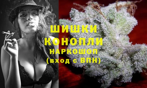 трава Елизово