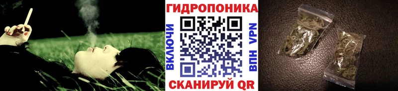 Конопля гибрид Южа